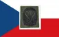 Preview: Paratrooper jump wings cz